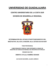 Centro Universitario de la Costa Sur