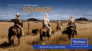 Vademecum veterinario Equinos