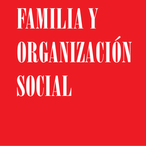familia y organizacion politica