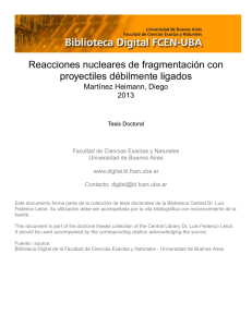 Martínez Heimann, Diego. 2013 - Biblioteca Digital de la Facultad