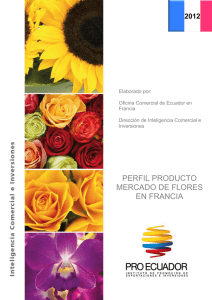 perfil producto mercado de flores en francia