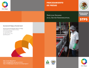 Procesamiento de Fresas - Secretaría del Trabajo y Previsión Social