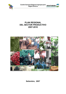 Plan Regional del Sector Productivo 2007-2010. Región