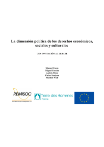 La dimensión política de los derechos económicos, sociales y