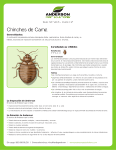 Chinches de Cama - Anderson Pest Control