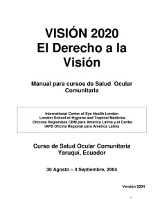 Manual CEH Vision 2020 modificado 24[1].