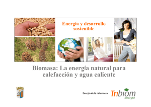 Biomasa: La energía natural para calefacción y agua caliente