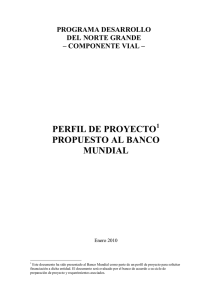 1. Presentación de Proyecto NG BIRF Vial (Archivo PDF