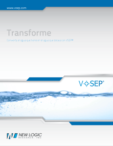 VSEP folleto en Español