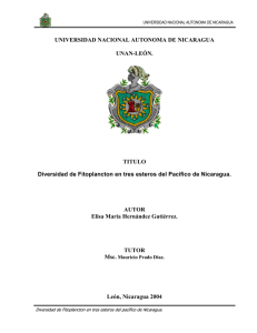 UNIVERSIDAD NACIONAL AUTONOMA DE NICARAGUA