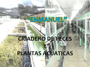 CRIADERO DE PECES Y PLANTAS ACUATICAS
