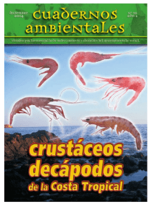 CA - 10 - Crustaceos decapodos de la Costa Tropical