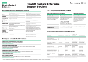 Hewlett Packard Enterprise Support Services