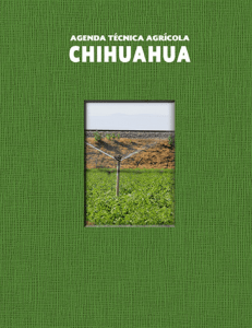 chihuahua - SER Mexicano