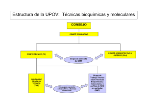 Estructura de la UPOV: Técnicas bioquímicas y moleculares
