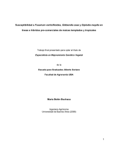 View the PDF document - Universidad de Buenos Aires