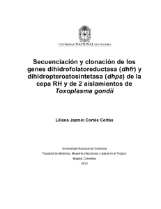 y dihidropteroatosintetasa (dhps) - Universidad Nacional de Colombia