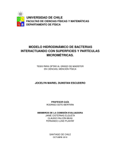 universidad de chile modelo hidrodinámico de bacterias
