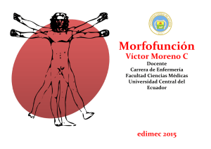 Morfofunción - Universidad Central del Ecuador