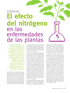 El efecto del nitrógeno en las enfermedades de las plantas