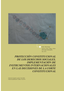 protección constitucional de los derechos sociales. implementación