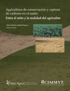 AC y captura de carbono - CIMMYT. Agricultura de Conservación