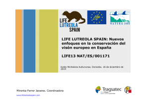 Ferrer_MK_LIFE LUTREOLA SPAIN 2014 Resumen proyecto