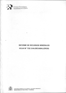 Informe recursos minerales