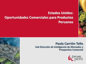 Oportunidades comerciales para productos peruanos en EEUU 2010