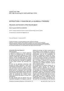 Estructura y función de la glándula tiroides = Structure and function