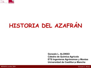 Diapositiva 1 - Azafrán de La Mancha