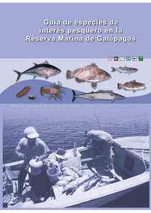 Guía de especies de interés pesquero en la Reserva Marina de