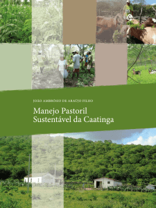 Manejo Pastoril Sustentável da Caatinga