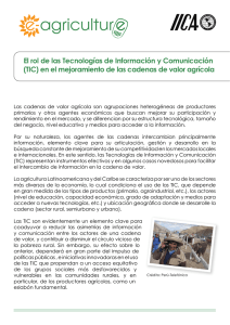 El rol de las Tecnologías de Información y Comunicación (TIC) en el
