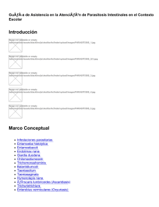 Descargar PDF - Proyecto AINSE