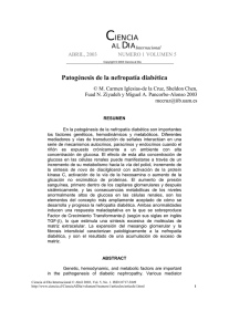 Patogénesis de la nefropatía diabética