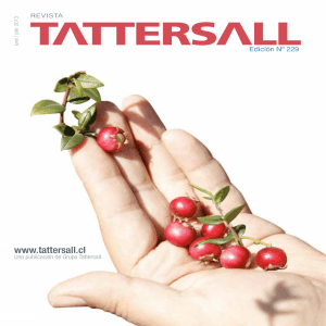 Revista Tattersall 2013