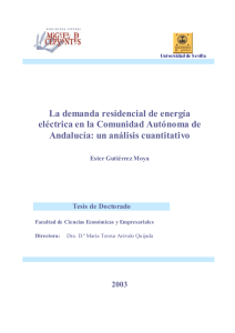 La demanda residencial de energía eléctrica en la Comunidad