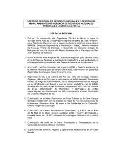 Informe de Logros - Gobierno Regional de Ica