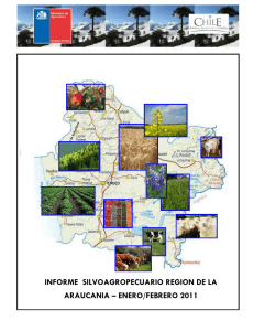 informe silvoagropecuario region de la araucania