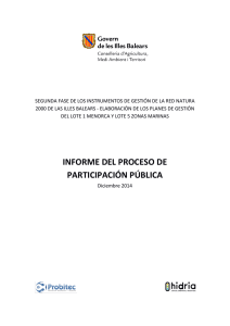 informe del proceso de participación pública