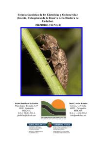 (Insecta, Coleoptera) de la Reserva de la Biosfera de Urda
