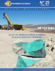 N° 25 - Grupo Minero Las Cenizas