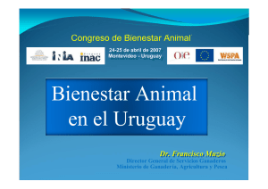 Bienestar Animal en el Uruguay