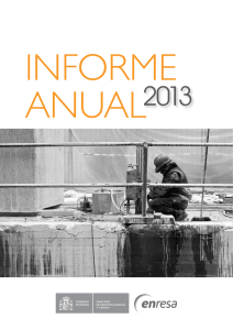 Informe anual 2013
