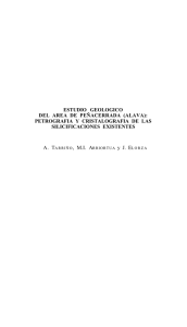 Estudio geológico del área de Peñacerrada (Alava) : petrografía y