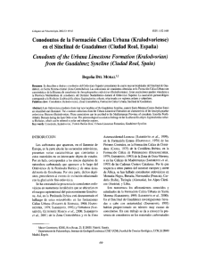 Conodontos de la Formación Caliza Urbana - E