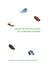 estudio sectorial de calzado de la comunidad de madrid