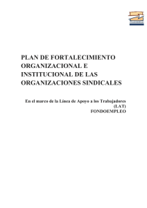 plan de fortalecimiento organizacional e