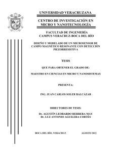 universidad veracruzana centro de investigación en micro y